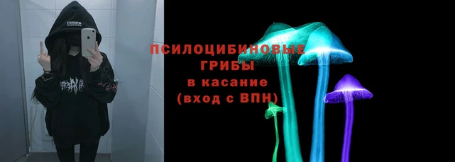 ECSTASY Дмитриев