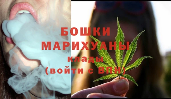 ECSTASY Дмитриев