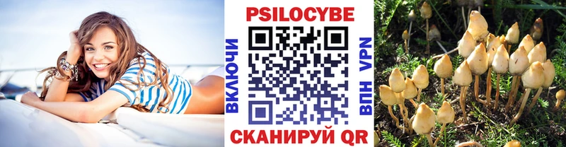 Псилоцибиновые грибы Psilocybine cubensis  ОМГ ОМГ как войти  Няндома 